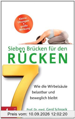 Sieben Brücken für den Rücken: Wie die Wirbelsäule belastbar und beweglich bleibt. - Kleine Übungen - große Wirkung