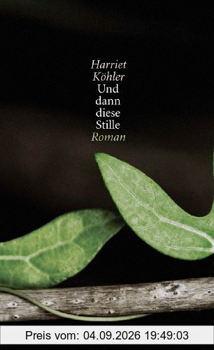 Und dann diese Stille: Roman