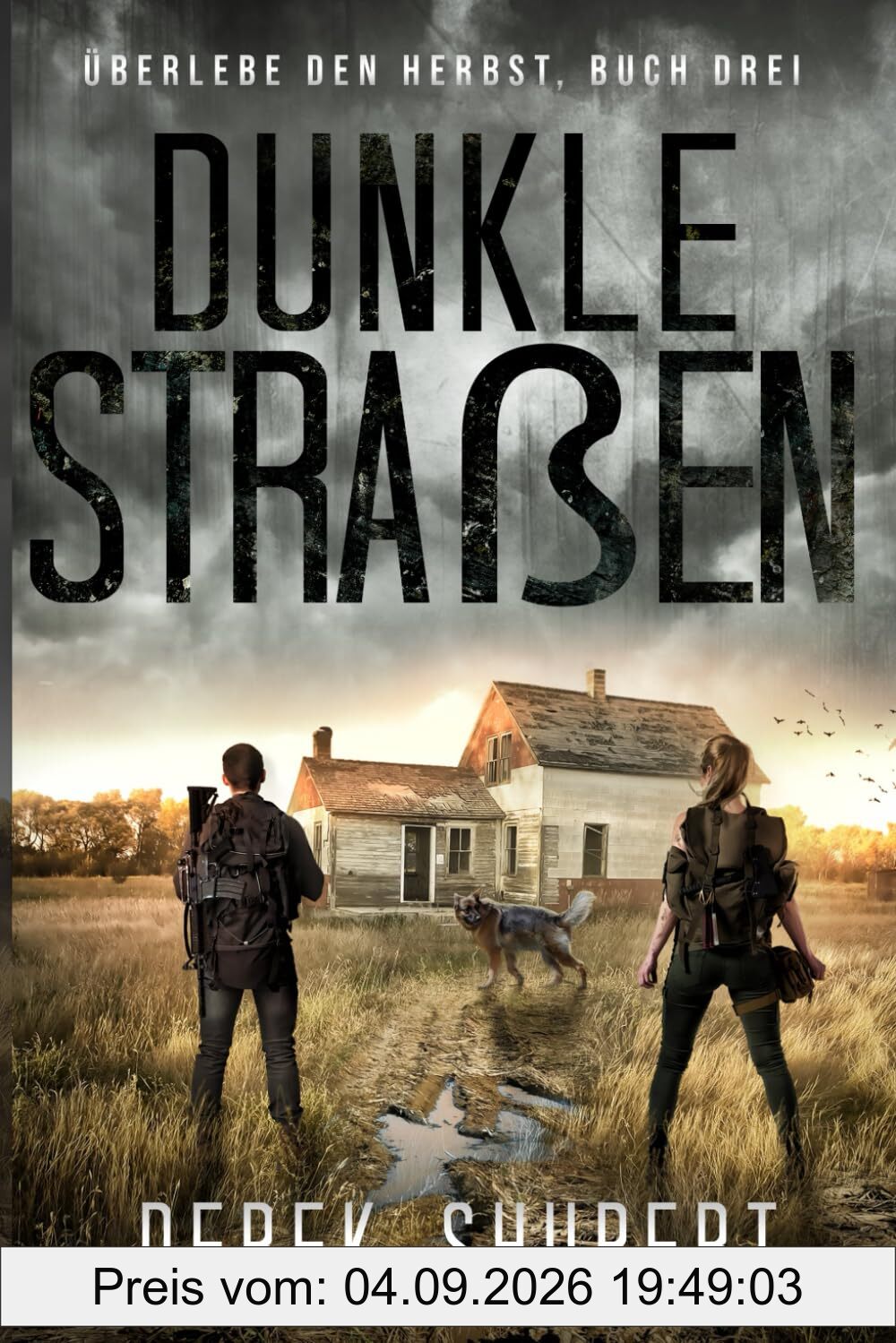 Dunkle Straßen (Survive the Fall, Band 3)
