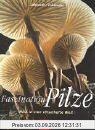 Faszination Pilze: Blick in eine rätselhafte Welt
