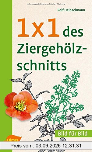 1 x 1 des Ziergehölzschnitts: Bild für Bild