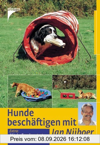 Hunde beschäftigen mit Jan Nijboer: Mit der Trendsportart Treibball