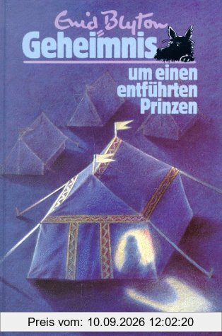 Geheimnis . . ., Bd.9, Geheimnis um einen entführten Prinzen