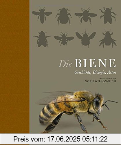 Binding : Gebundene Ausgabe, Edition : 1., Label : Haupt Verlag, Publisher : Haupt Verlag, NumberOfItems : 1, medium : Gebundene Ausgabe, numberOfPages : 224, publicationDate : 2015-02-18, translators : Coralie Wink, Monika Niehaus, publishers : Noah Wilson-Rich, languages : german, ISBN : 3258078696