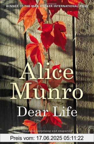 Binding : Taschenbuch, Label : Vintage, Publisher : Vintage, NumberOfItems : 2, medium : Taschenbuch, numberOfPages : 336, publicationDate : 2013-10-03, releaseDate : 2013-07-30, authors : Alice Munro, languages : english, ISBN : 0099578638