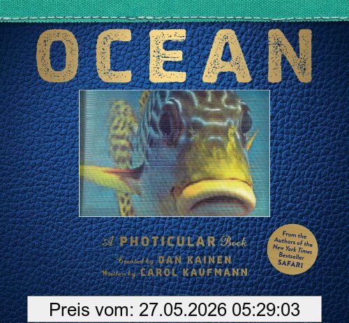 Dan Kainen Ocean, A Photicular Book (Photicular Books)