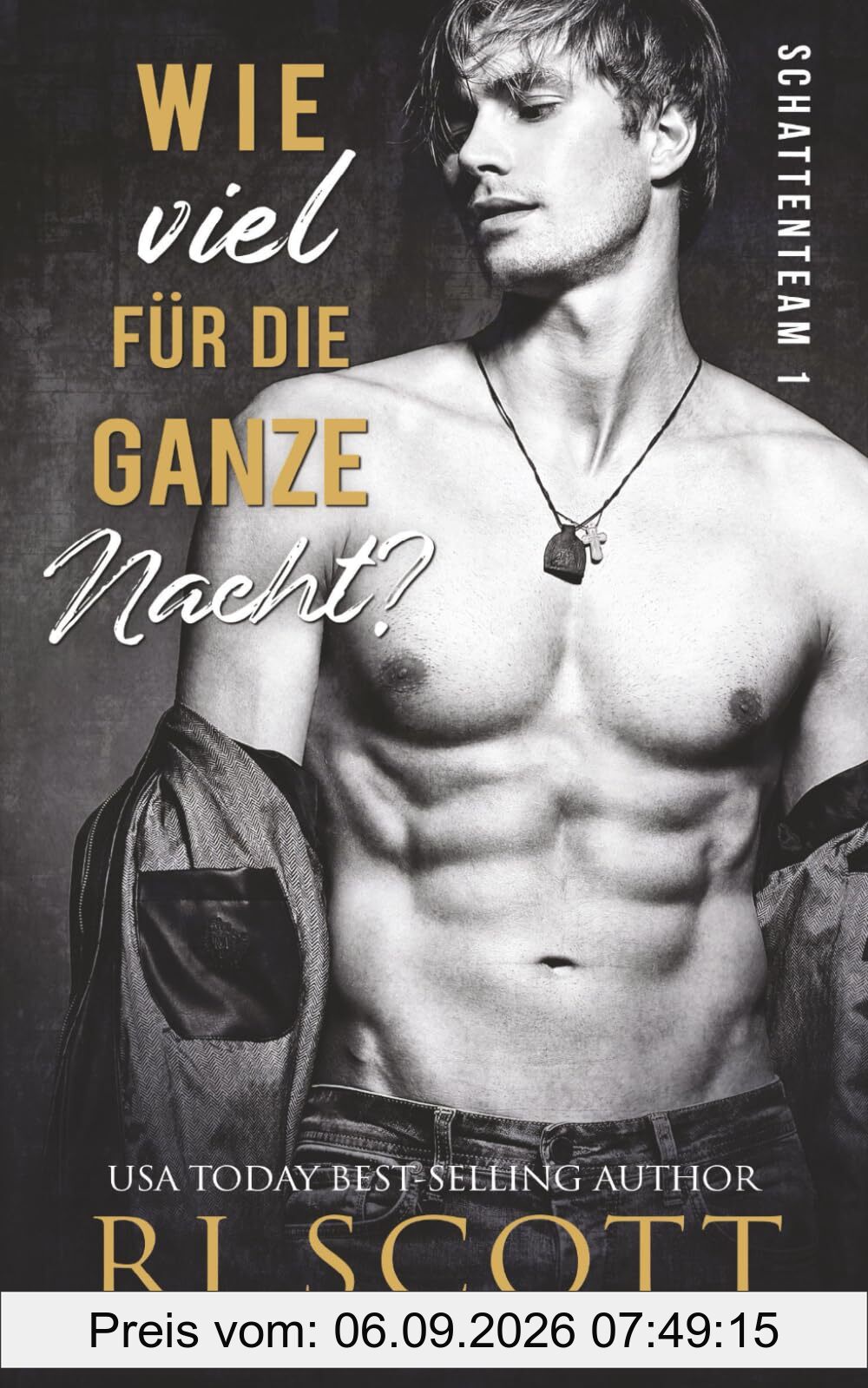 Wie viel für die ganze Nacht (Shadow-Team, Band 1)