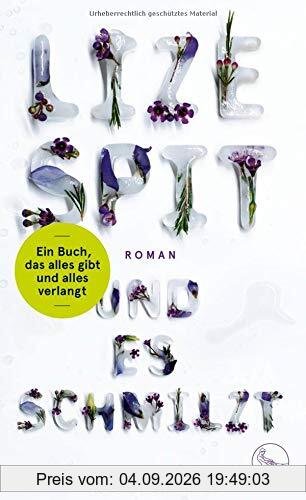 Und es schmilzt: Roman