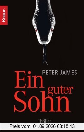 Ein guter Sohn