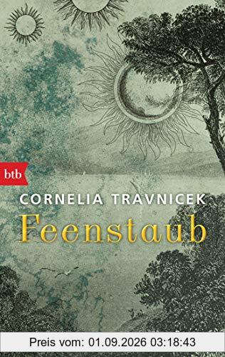 Feenstaub: Roman