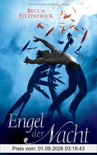 Engel der Nacht 1: Roman
