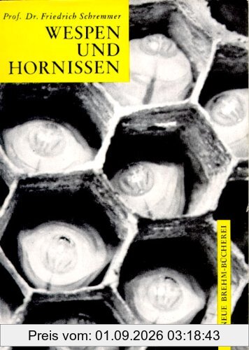 Wespen und Hornissen: Die einheimischen sozialen Faltenwespen