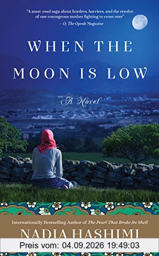 When the Moon Is Low: A Novel