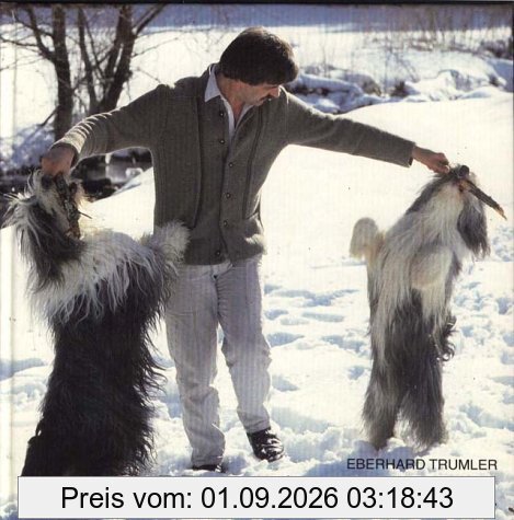 Mensch und Hund