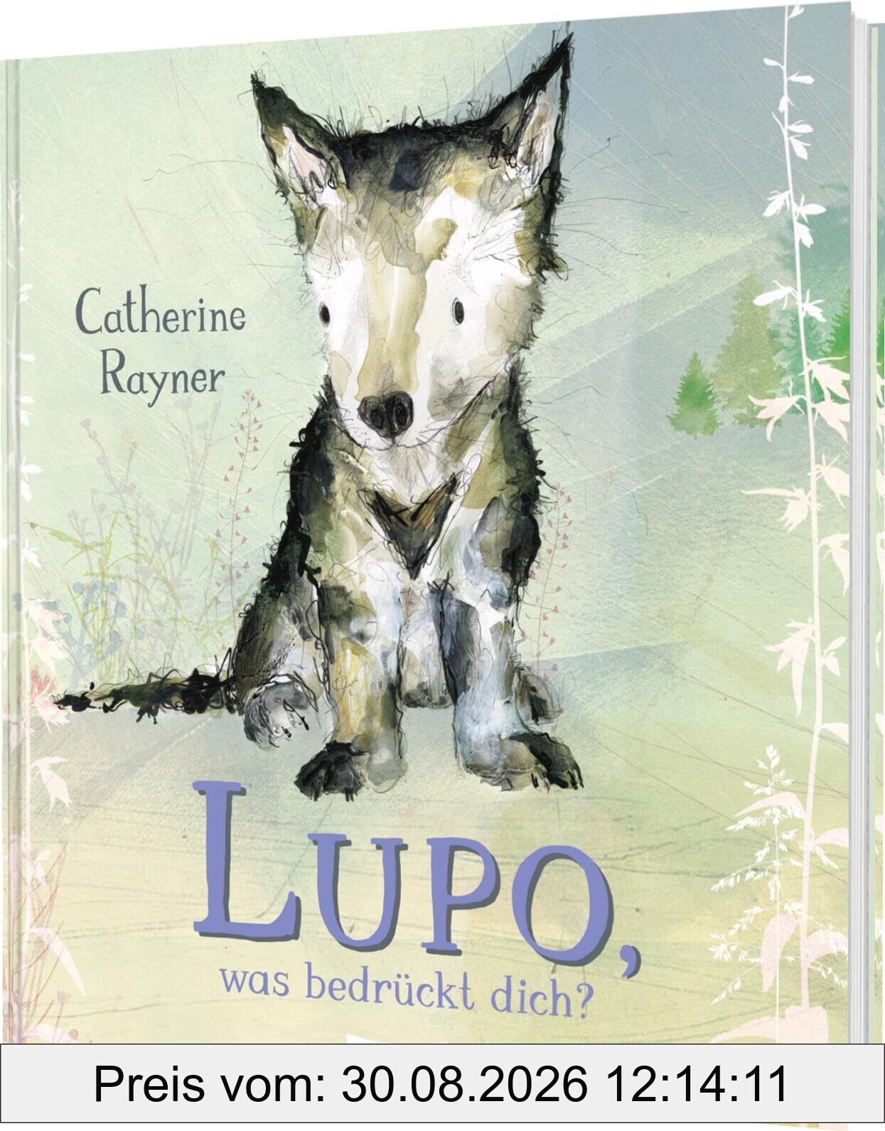 Lupo, was bedrückt dich?: Bilderbuch über Sorgen, Ängste, Mut und Selbstvertrauen