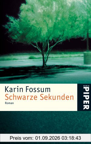 Schwarze Sekunden: Roman