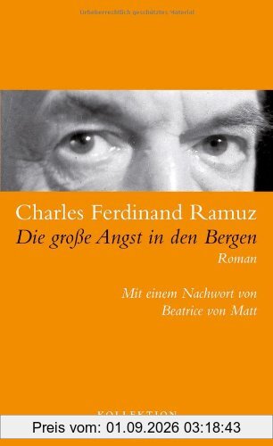 Die große Angst in den Bergen: Roman