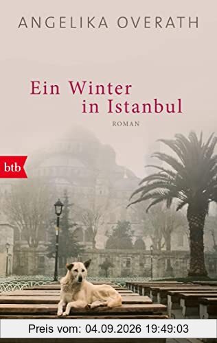 Ein Winter in Istanbul: Roman
