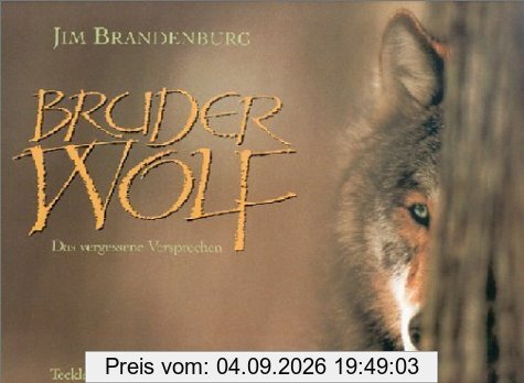 Bruder Wolf: Das Vergessene Versprechen