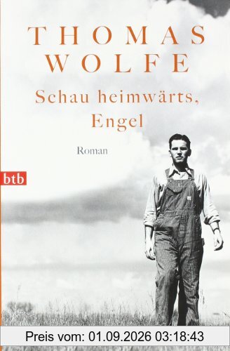 Schau heimwärts, Engel: Roman