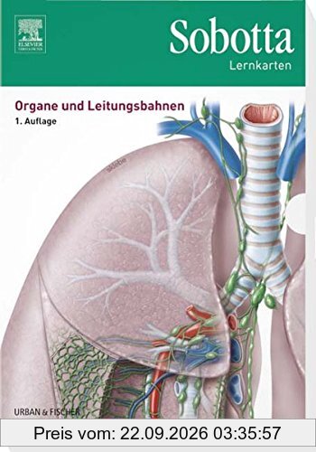 Sobotta Lernkarten Organe und Leitungsbahnen