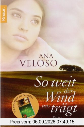 So weit der Wind uns trägt: Roman