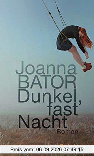Dunkel, fast Nacht: Roman