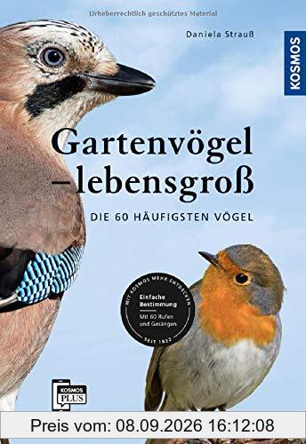 Gartenvögel lebensgroß: Die 60 häufigsten Vögel, Einfache Bestimmung, Mit 60 Rufen und Gesängen