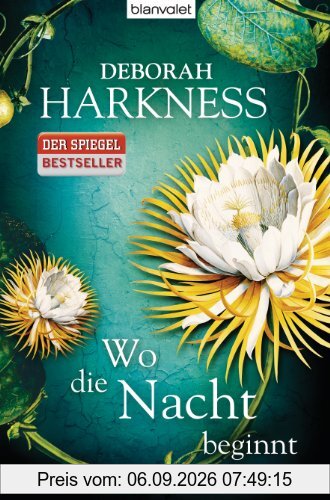 Wo die Nacht beginnt: Roman
