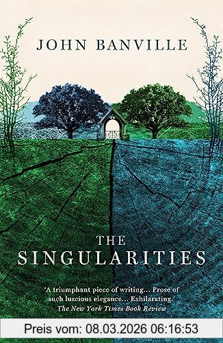John Banville The Singularities, A Novel
