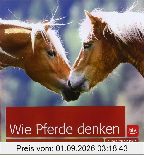 Wie Pferde denken