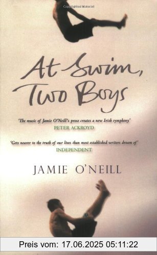 Binding : Taschenbuch, Edition : New edition, Label : Simon & Schuster UK, Publisher : Simon & Schuster UK, NumberOfItems : 2, medium : Taschenbuch, numberOfPages : 656, publicationDate : 2002-07-01, authors : Jamie O'Neill, languages : english, ISBN : 0743207149