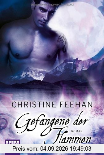 Gefangene der Flammen: Roman