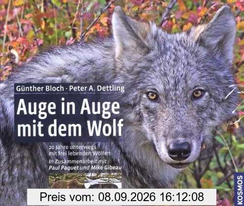 Auge in Auge mit dem Wolf: 20 Jahre unterwegs mit frei lebenden Wölfen