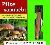 Pilze sammeln: Die wichtigsten Speisepilze und ihre giftigen Doppelgänger