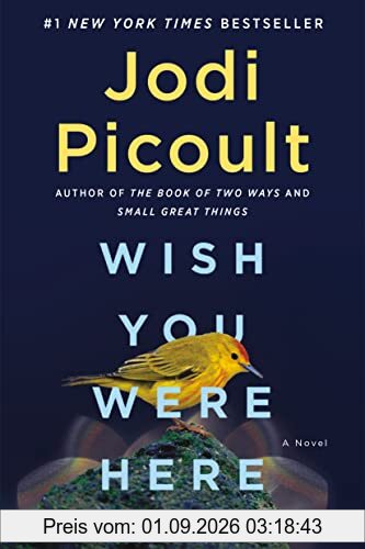 Wish You Were Here: A Novel