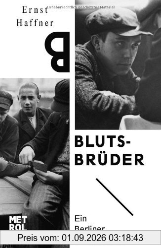 Blutsbrüder: Ein Berliner Cliquenroman