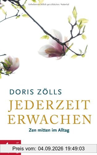 Jederzeit erwachen: Zen mitten im Alltag