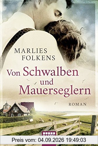 Von Schwalben und Mauerseglern: Roman