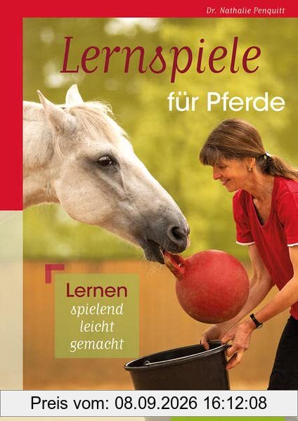 Lernspiele für Pferde: Lernen spielend leicht gemacht