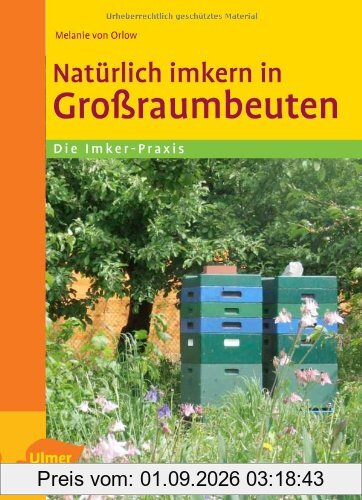 Natürlich imkern in Großraumbeuten