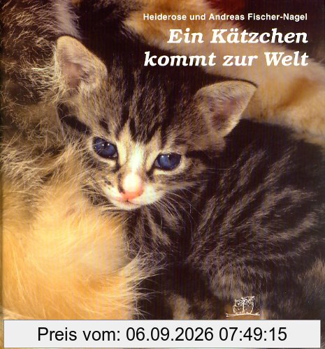 Ein Kätzchen kommt zur Welt