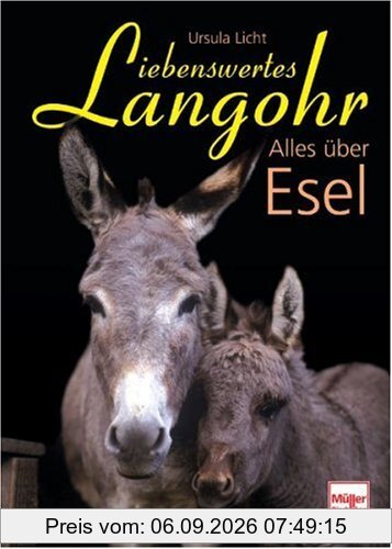 Liebenswertes Langohr: Alles über Esel