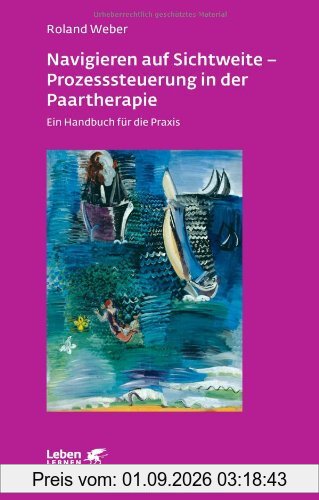 Navigieren auf Sichtweite - Prozesssteuerung in der Paartherapie: Ein Handbuch für die Praxis