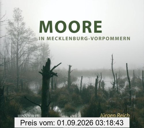 Moore in Mecklenburg-Vorpommern: Ein stiller Schatz