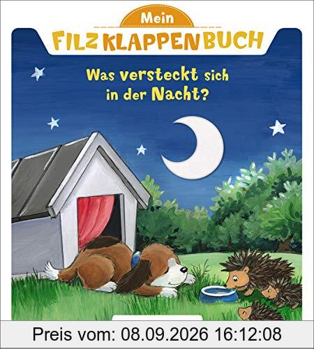 Mein Filzklappenbuch - Was versteckt sich in der Nacht?: ab 18 Monate