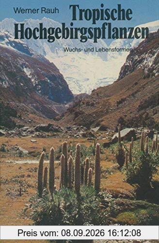 Tropische Hochgebirgspflanzen: Wuchs- und Lebensformen