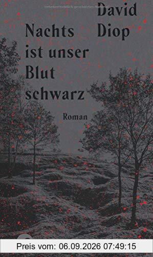 Nachts ist unser Blut schwarz: Roman