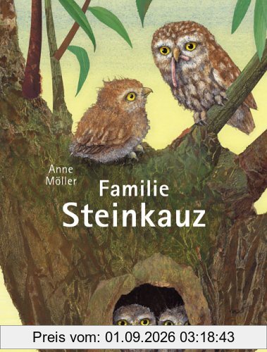 Familie Steinkauz