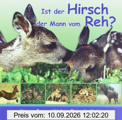 Ist der Hirsch der Mann vom Reh?: Von großen und kleinen Tieren im Wald